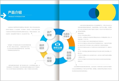 简约与高端的艺术融合 专业金融与美业画册设计服务